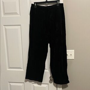 Cappagallo Black Velour Elastic Waist Pants
